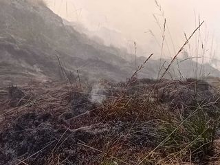 Alpe Noveis, AIB e Vigili del Fuoco ancora impegnati nello spegnimento Alpe Noveis, AIB e Vigili del Fuoco ancora impegnati nello spegnimento