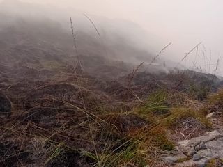 Alpe Noveis, AIB e Vigili del Fuoco ancora impegnati nello spegnimento Alpe Noveis, AIB e Vigili del Fuoco ancora impegnati nello spegnimento