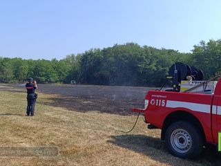 Incendio a Mongrando, fiamme vicino a impianto fotovoltaico FOTO e VIDEO Mattia Baù per newsbiella.it
