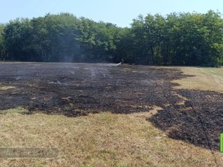 Incendio a Mongrando, fiamme vicino a impianto fotovoltaico FOTO e VIDEO Mattia Baù per newsbiella.it