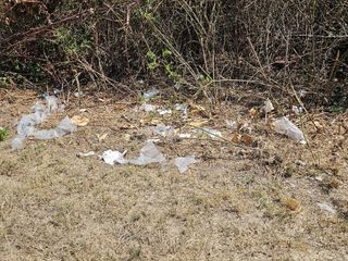 Rifiuti dall’auto: multe record e arresto col nuovo decreto FOTO e VIDEO