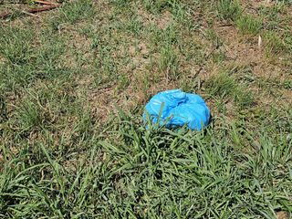 Rifiuti dall’auto: multe record e arresto col nuovo decreto FOTO e VIDEO