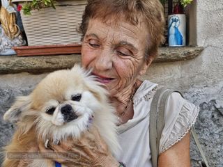 Sandigliano, animali da compagnia benedetti alla festa patronale dell’Assunta FOTO Angela Lobefaro Sandigliano, animali da compagnia benedetti alla festa patronale dell’Assunta FOTO Angela Lobefaro