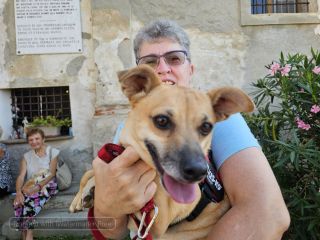 Sandigliano, animali da compagnia benedetti alla festa patronale dell’Assunta FOTO Angela Lobefaro Sandigliano, animali da compagnia benedetti alla festa patronale dell’Assunta FOTO Angela Lobefaro