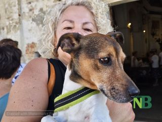 Sandigliano, animali da compagnia benedetti alla festa patronale dell’Assunta FOTO Angela Lobefaro Sandigliano, animali da compagnia benedetti alla festa patronale dell’Assunta FOTO Angela Lobefaro