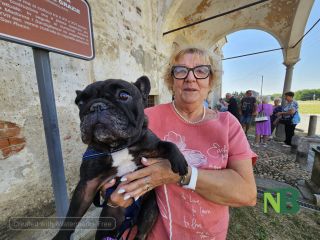 Sandigliano, animali da compagnia benedetti alla festa patronale dell’Assunta FOTO Angela Lobefaro Sandigliano, animali da compagnia benedetti alla festa patronale dell’Assunta FOTO Angela Lobefaro