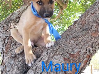 Rose, Neve, Gioia… e il sogno di un abbraccio per sempre