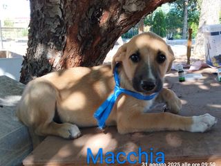 Rose, Neve, Gioia… e il sogno di un abbraccio per sempre