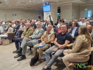 Sanità Biella: 6.000 prestazioni in più e tempi cataratte ridotti da 4,9 anni a 113 giorni Sanità Biella: 6.000 prestazioni in più e tempi cataratte ridotti da 4,9 anni a 113 giorni