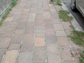 Biella, un cittadino: "Continua a persistere un diffuso stato di incuria". La replica dell'assessore Franceschini Biella, un cittadino: "Continua a persistere un diffuso stato di incuria". La replica dell'assessore Franceschini