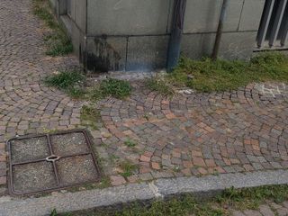 Biella, un cittadino: "Continua a persistere un diffuso stato di incuria". La replica dell'assessore Franceschini Biella, un cittadino: "Continua a persistere un diffuso stato di incuria". La replica dell'assessore Franceschini