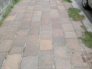 Biella, un cittadino: "Continua a persistere un diffuso stato di incuria". La replica dell'assessore Franceschini Biella, un cittadino: "Continua a persistere un diffuso stato di incuria". La replica dell'assessore Franceschini