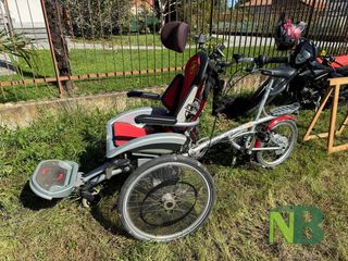 A Candelo è giornata di vendemmia tra sorridi e solidarietà FOTO Davide Finatti