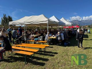 A Candelo è giornata di vendemmia tra sorridi e solidarietà FOTO Davide Finatti