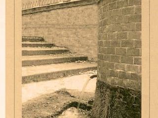 Dono di natura, foto copyright Roberto Marchisotti