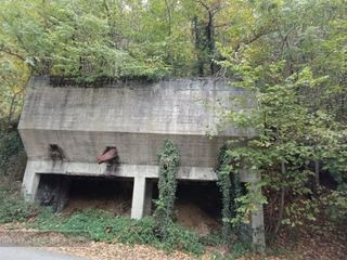 Tenta di sfuggire alle forze dell'ordine e cade in un dirupo FOTO Mattia Baù per newsbiella.it