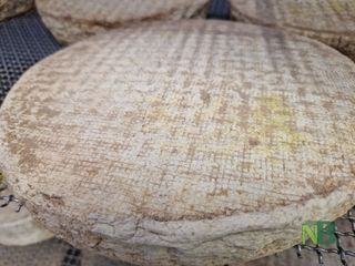 Tra le colline di Sagliano Cà d’Andrei racconta il Biellese più autentico FOTO e VIDEO Tra le colline di Sagliano Cà d’Andrei racconta il Biellese più autentico FOTO e VIDEO