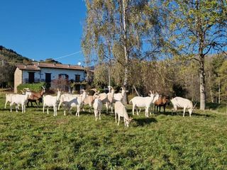 Tra le colline di Sagliano Cà d’Andrei racconta il Biellese più autentico FOTO e VIDEO Tra le colline di Sagliano Cà d’Andrei racconta il Biellese più autentico FOTO e VIDEO