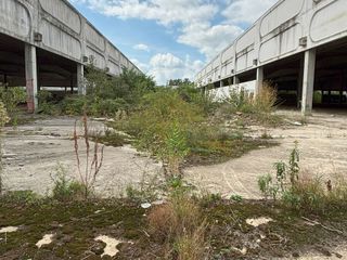 Verrone, gli studenti del Politecnico studiano il recupero dell’ex Aiazzone