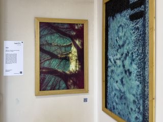 Il fotografo biellese Stefano Ceretti porta il suo progetto #DEPTH a Paratissima 2025