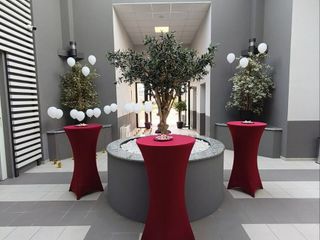 Oggi a Biella  “Crematori Aperti” FOTO Riccardo Tosi per newsbiella.it