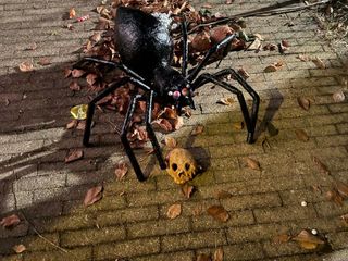 Graglia festeggia Halloween: il paese tra zucche, dolcetti e spettacoli Graglia festeggia Halloween: il paese tra zucche, dolcetti e spettacoli