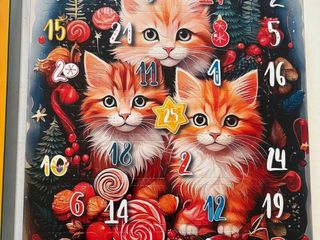 Bulli e Pupe con la Coda vi aspetta al  Charity shop a Mongrando