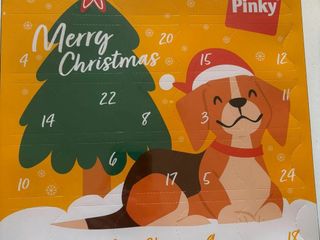 Bulli e Pupe con la Coda vi aspetta al  Charity shop a Mongrando