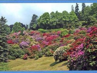Burcina, tra rododendri e ricordi, dietro l'obiettivo del fotografo Marchisotti FOTO copyright Roberto Marchisotti