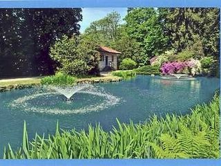 Burcina, tra rododendri e ricordi, dietro l'obiettivo del fotografo Marchisotti FOTO copyright Roberto Marchisotti