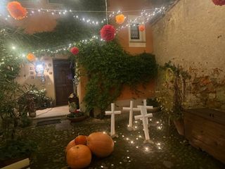 Graglia festeggia Halloween: il paese tra zucche, dolcetti e spettacoli Graglia festeggia Halloween: il paese tra zucche, dolcetti e spettacoli
