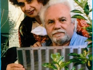 L’arte senza confini di Sandra Marchisotti: la carta crespa che emoziona grandi e bambini foto Copyright Roberto Marchisotti