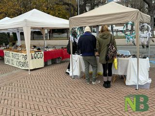 Tra le bancarelle al mercatino degli hobbisti a Viverone FOTO e VIDEO foto Davide Finatti per newsbiella.it