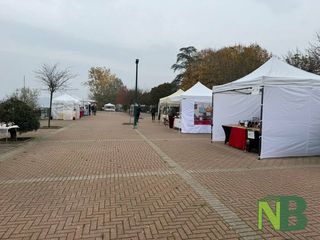 Tra le bancarelle al mercatino degli hobbisti a Viverone FOTO e VIDEO foto Davide Finatti per newsbiella.it