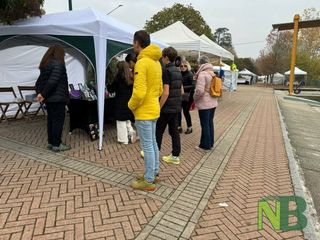 Tra le bancarelle al mercatino degli hobbisti a Viverone FOTO e VIDEO foto Davide Finatti per newsbiella.it