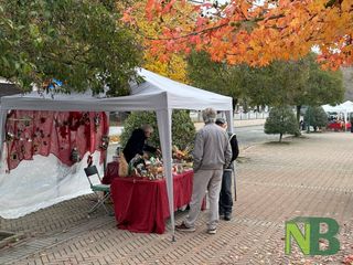 Tra le bancarelle al mercatino degli hobbisti a Viverone FOTO e VIDEO foto Davide Finatti per newsbiella.it