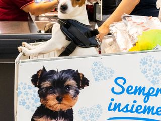 Shopping con il tuo amico a 4 zampe? Ora è possibile! Shopping con il tuo amico a 4 zampe? Ora è possibile!