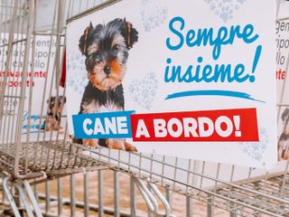 Shopping con il tuo amico a 4 zampe? Ora è possibile! Shopping con il tuo amico a 4 zampe? Ora è possibile!