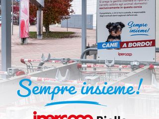 Shopping con il tuo amico a 4 zampe? Ora è possibile! Shopping con il tuo amico a 4 zampe? Ora è possibile!