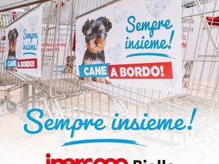 Shopping con il tuo amico a 4 zampe? Ora è possibile! Shopping con il tuo amico a 4 zampe? Ora è possibile!