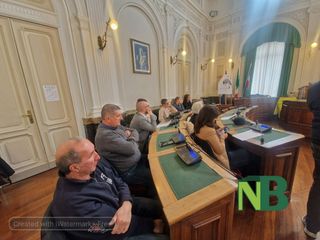 Bear Wool Volley 2026, Biella capitale della pallavolo giovanile: 90 squadre da tutta Europa