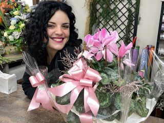 Il Natale prende forma da Gardenville