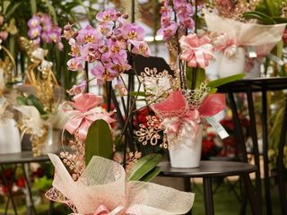 Il Natale prende forma da Gardenville