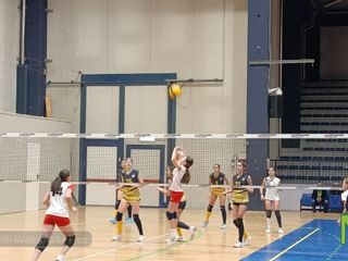 Seconda giornata del Bear Wool Volley 2026, i risultati in attesa della grande giornata di oggi FOTO Mattia Baù per newsbiella.it