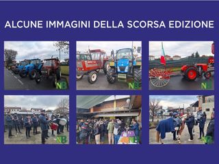 Festa di Sant’Antonio Abate: tradizione, fede e sfilata nel cuore di Vigliano