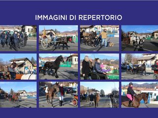 Festa di Sant’Antonio Abate: tradizione, fede e sfilata nel cuore di Vigliano