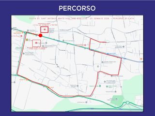 Festa di Sant’Antonio Abate: tradizione, fede e sfilata nel cuore di Vigliano