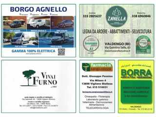 Festa di Sant’Antonio Abate: tradizione, fede e sfilata nel cuore di Vigliano