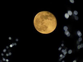4 gennaio 2026: la luna Gibbosa Calante vista dal ricetto di Candelo FOTO Zinga Power