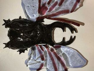 Matilde Grosso 5h, La forza di volare